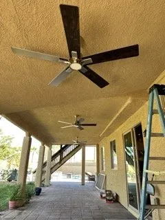 Slide of Olive Electric