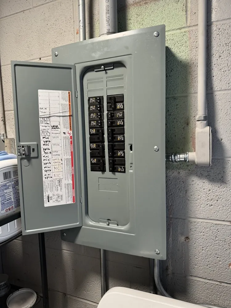 Slide of Olive Electric