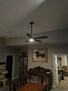 Slide of Olive Electric