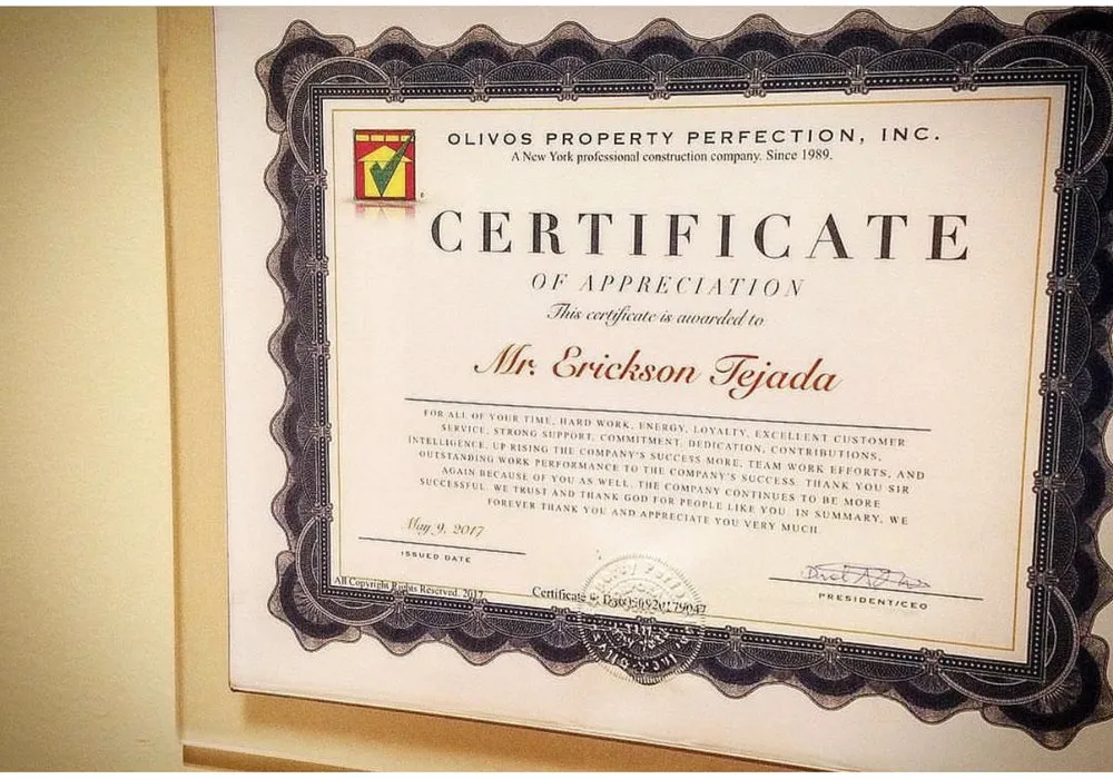 Reliable outlet and switch repair experts serving ,  - Olivos Property Perfection