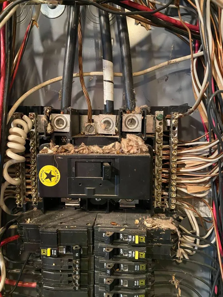 Licensed emergency electrical service service in Stoddard, WI - Olson Electric