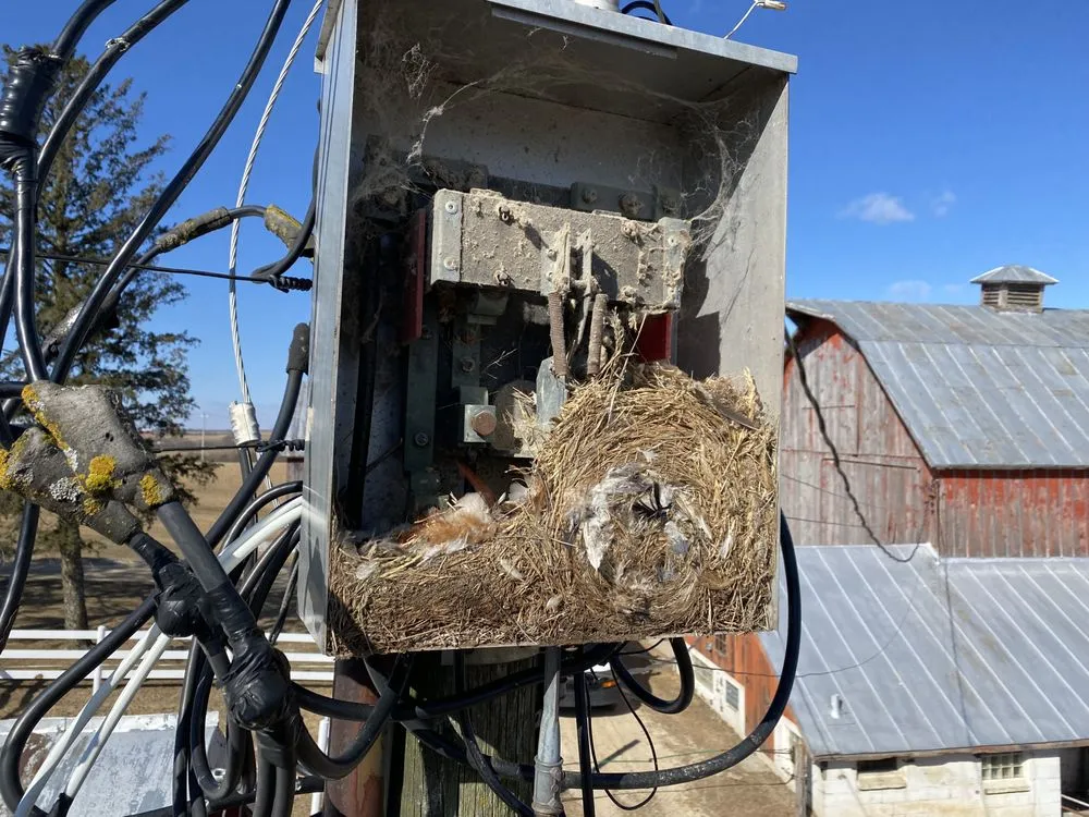 Expert lighting installation in Stoddard, WI by Olson Electric