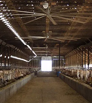 Slide of Olson's Rural Electric