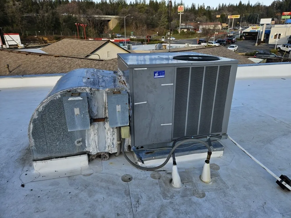 Slide of Olympus Electric