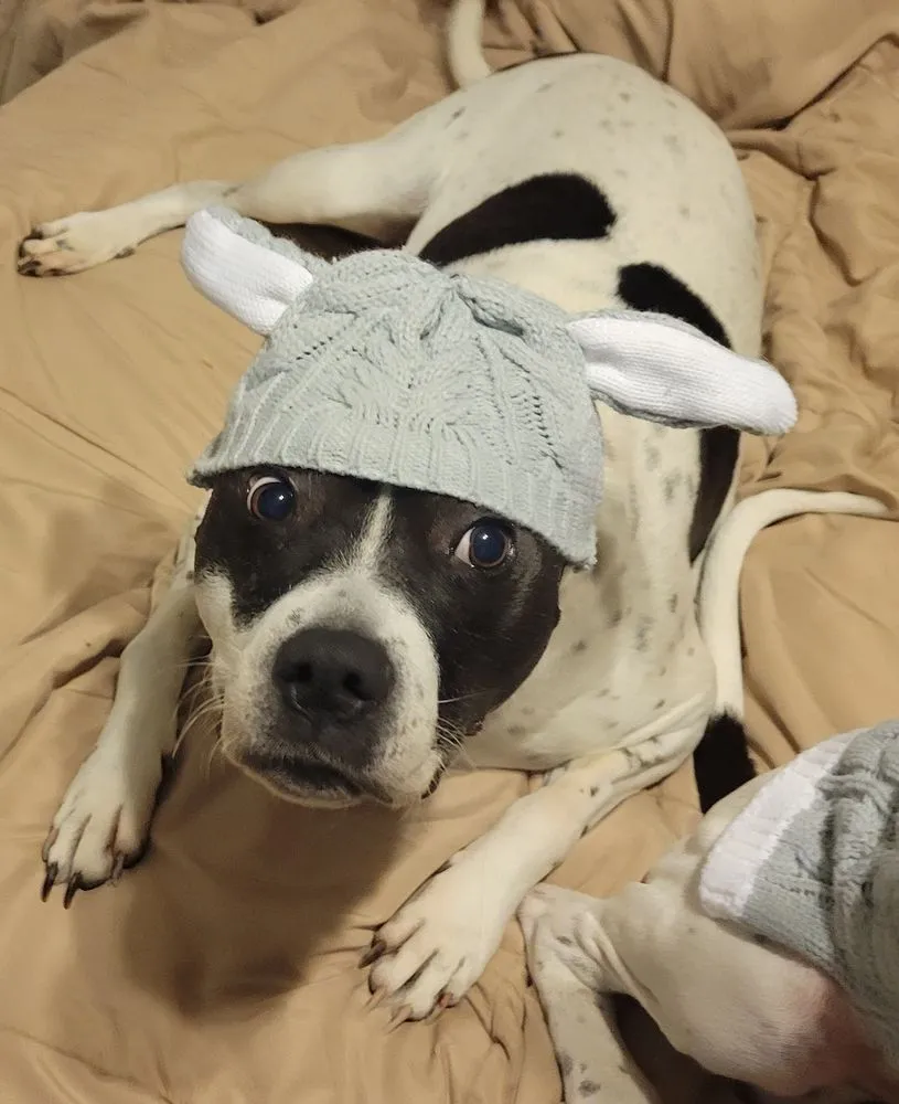 Slide of Omega Electrical Services