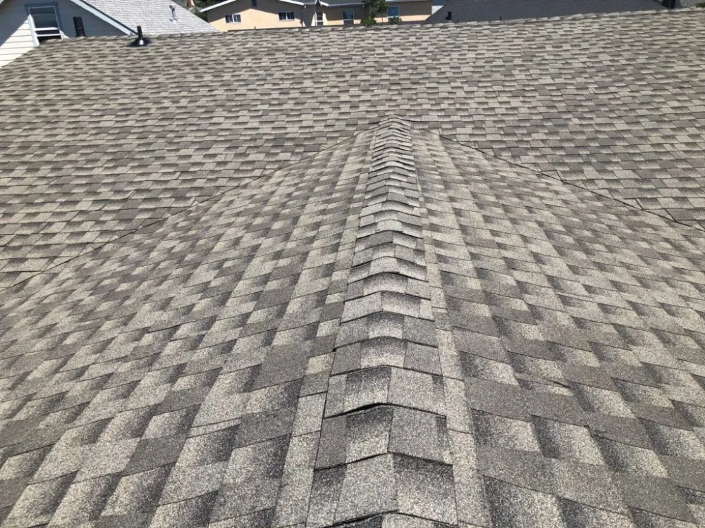 Slide of Omega Handyman