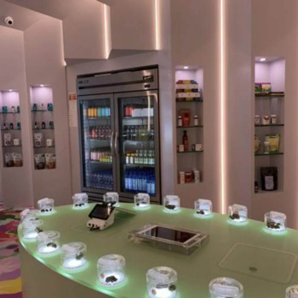 Slide of One & Done Electric