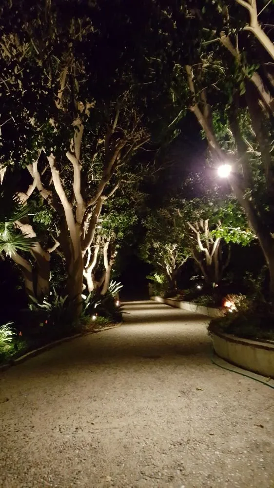 Slide of One LED Source