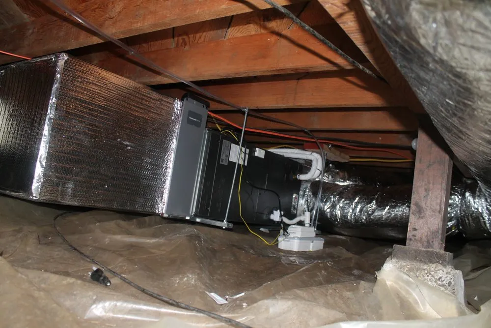 Slide of Ongaro & Sons