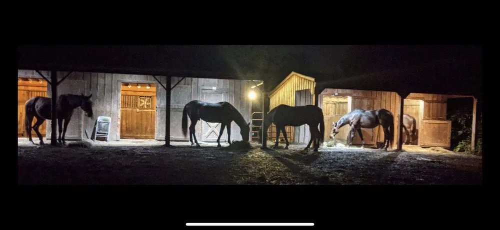 Slide of Optimum Electric