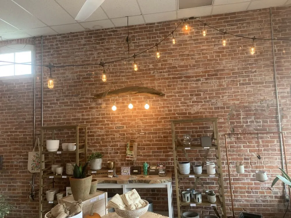 Slide of Orca Electric