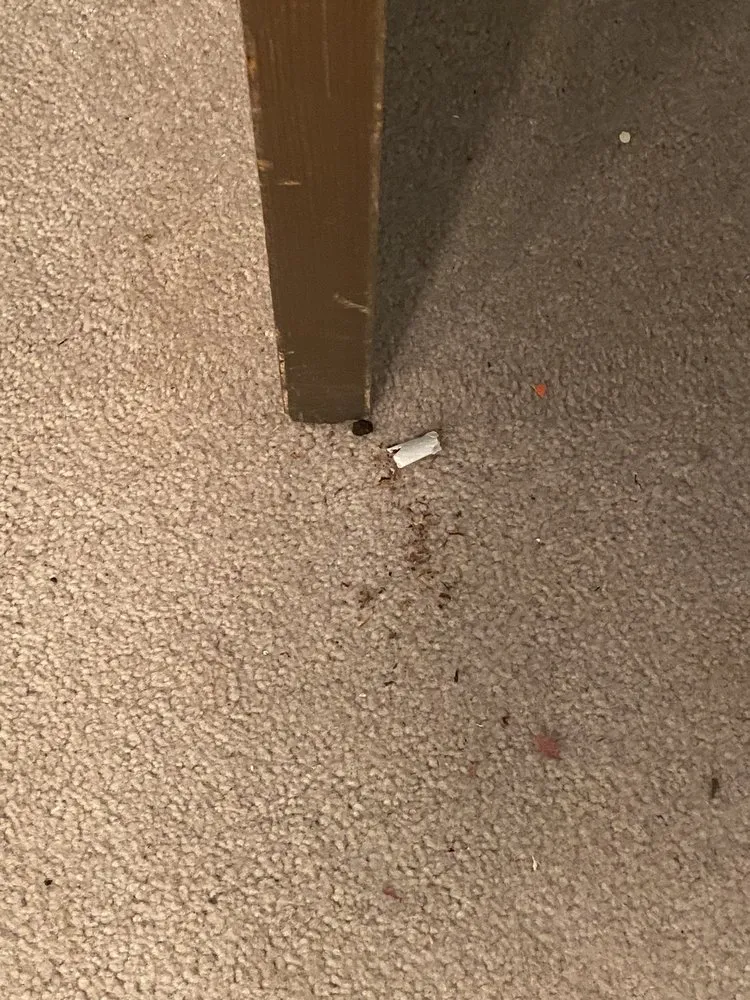 Slide of Orellana PDX Top Finishes