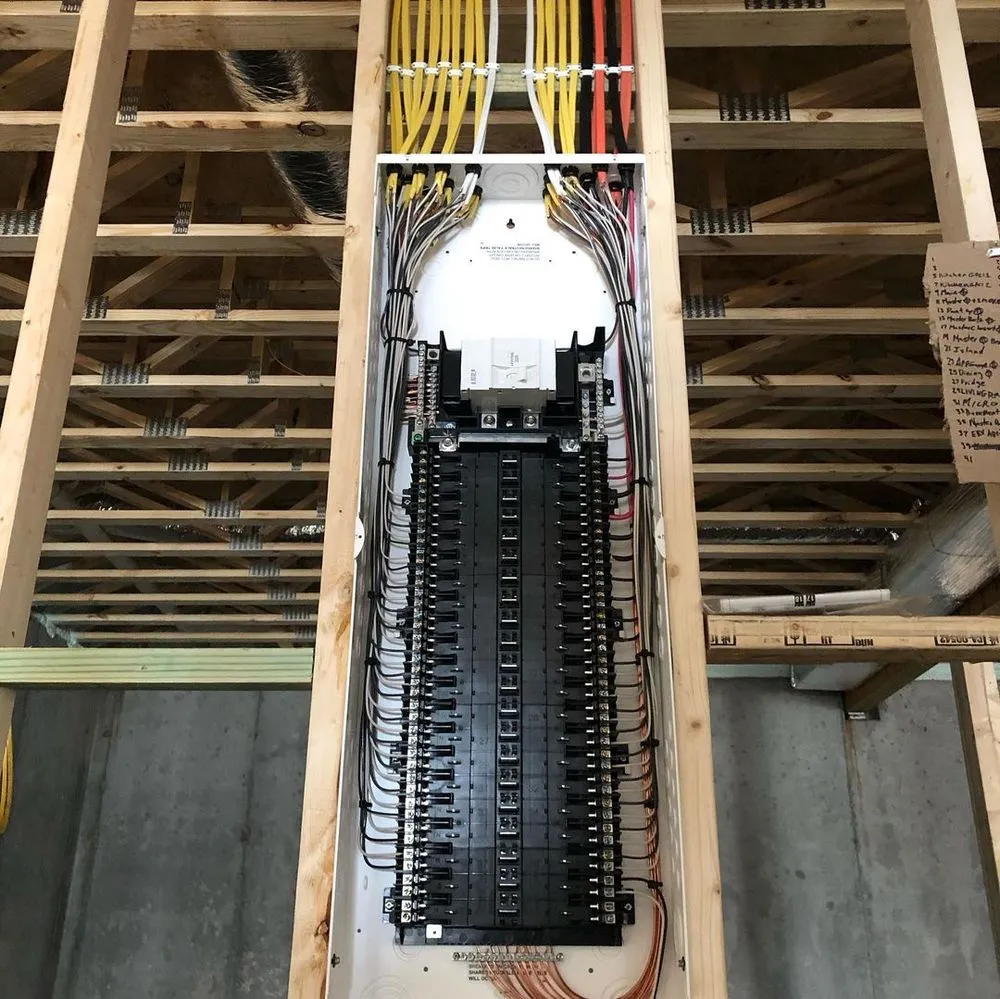 Slide of Organic Electrical