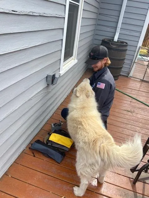 Certified electrical service for homes in lighting installation,  by 