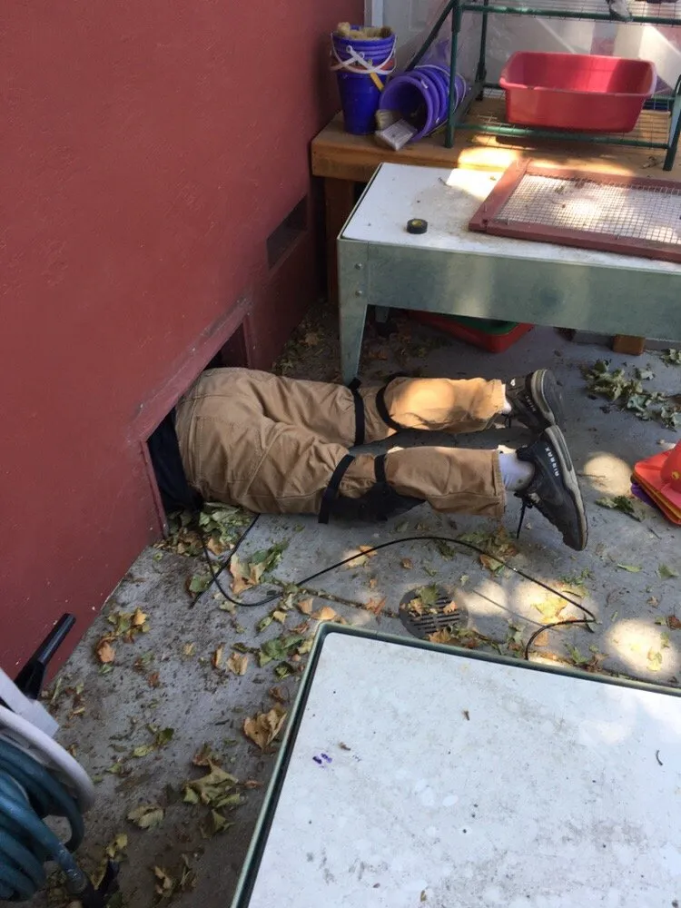 Slide of Osprey Electric