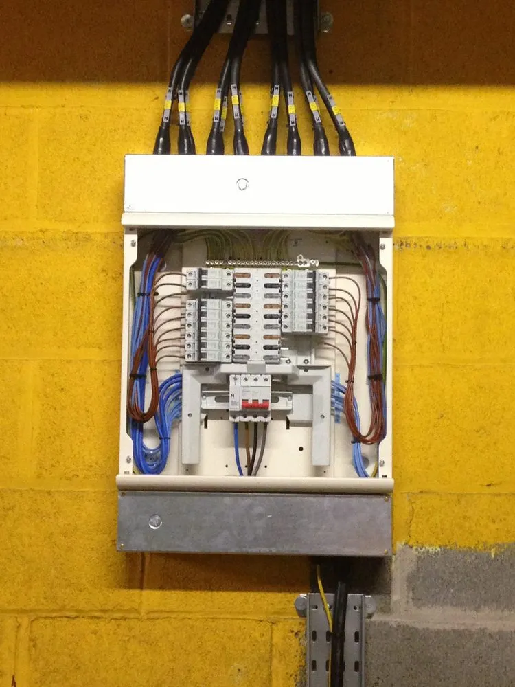 Slide of Osvaldo Electrician