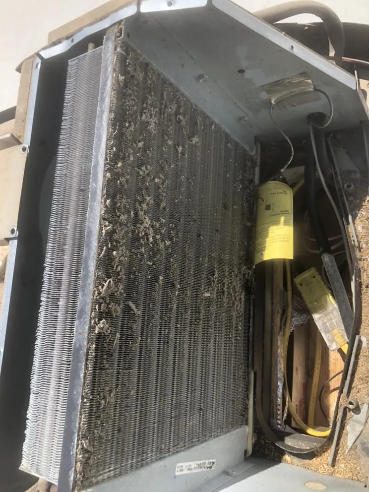 Slide of OtisLee Technical