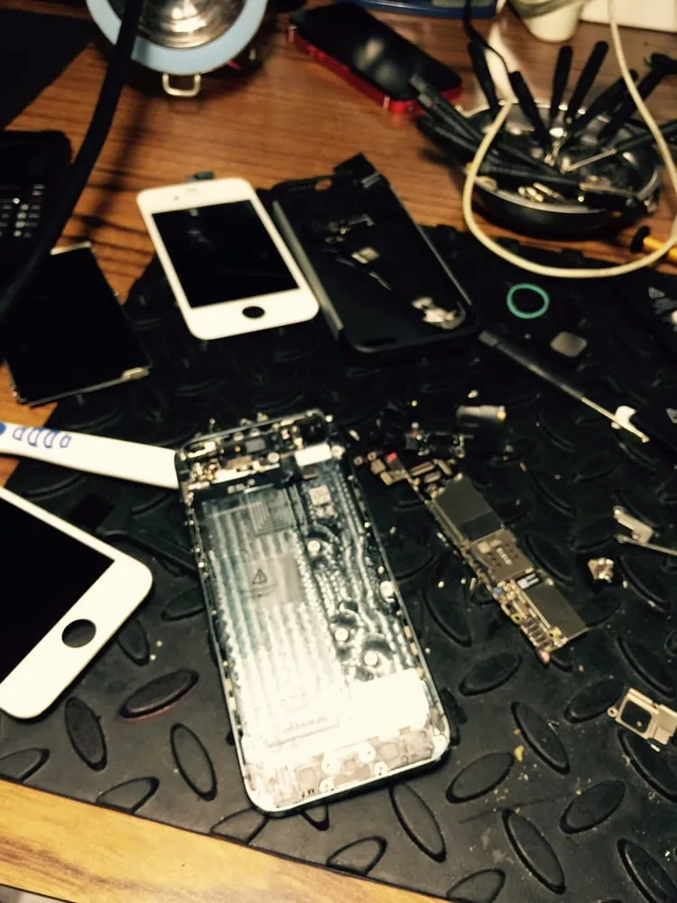 Slide of Otometric Labs