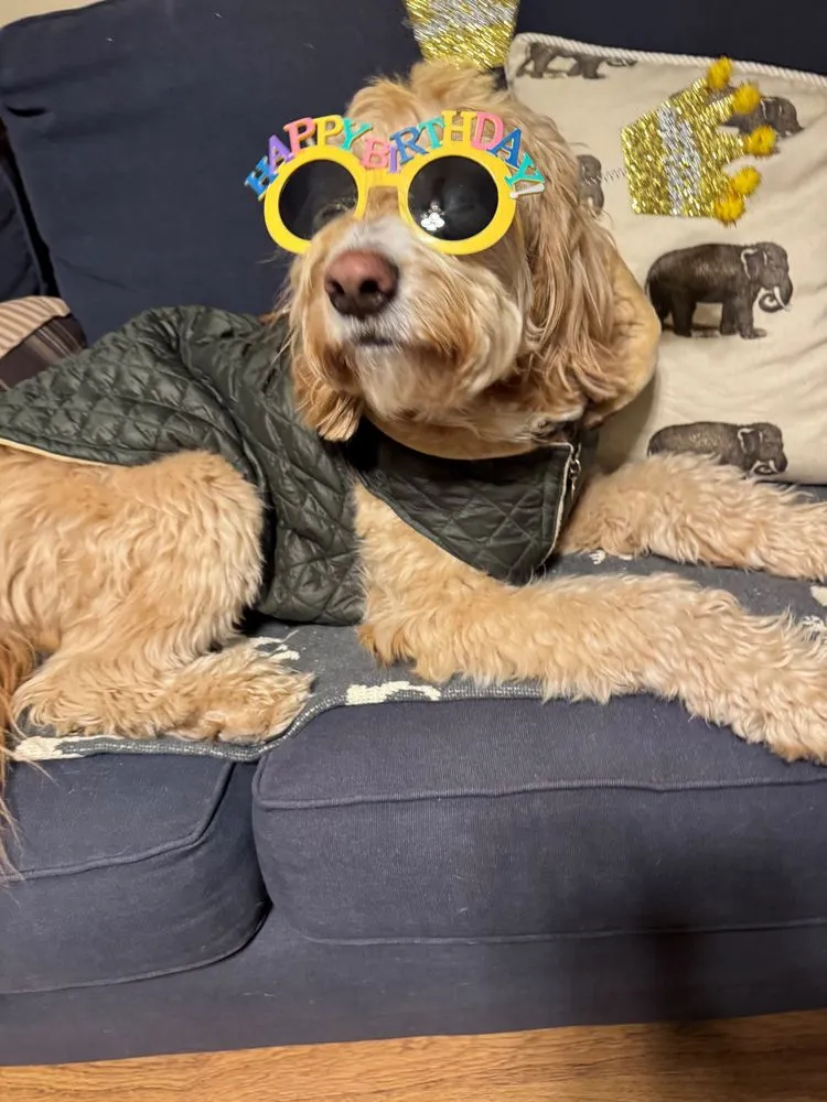 Slide of OurElectrician