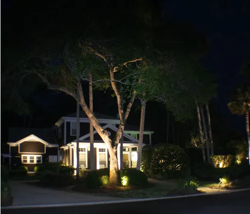 Slide of Outdoor Lighting Perspectives of Jacksonville