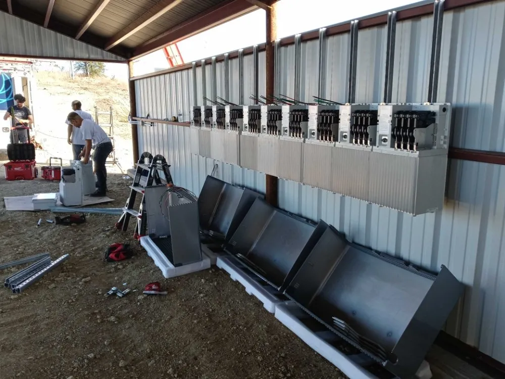 Slide of Owens' Tiger's Electric