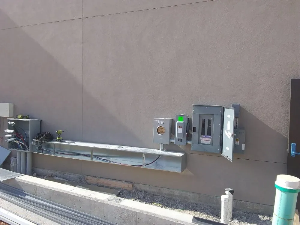 Slide of Owens' Tiger's Electric