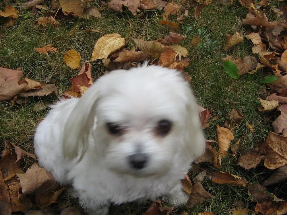Slide of Oxley Electric Inc.