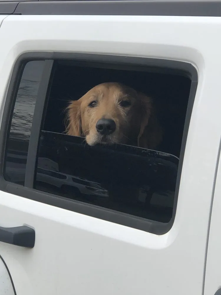 Slide of Oztech Electric