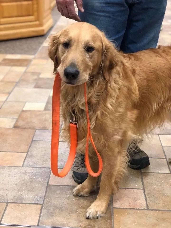 Slide of Oztech Electric