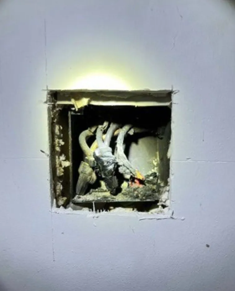 Slide of Ozvia Electric