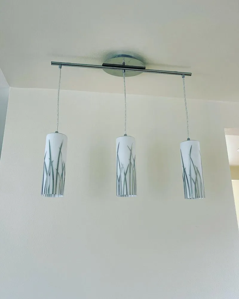 Slide of Pacific Park Electrician