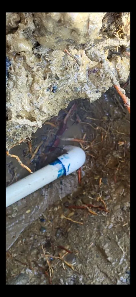 Slide of Pacifico Builders