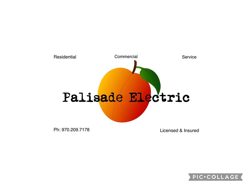 Slide of Palisade Electric