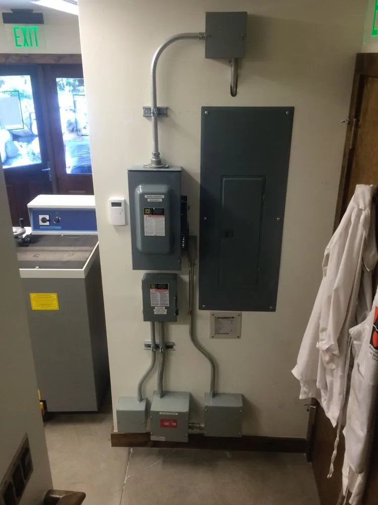 Slide of Palisade Electric