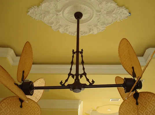 Palm Island Electric Logo