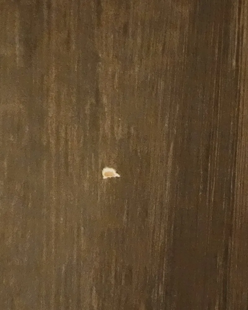 Slide of Palma Electric LLC