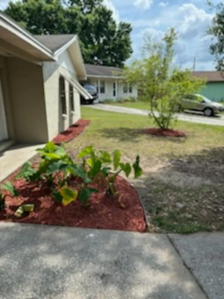 Slide of Panacea Home Services