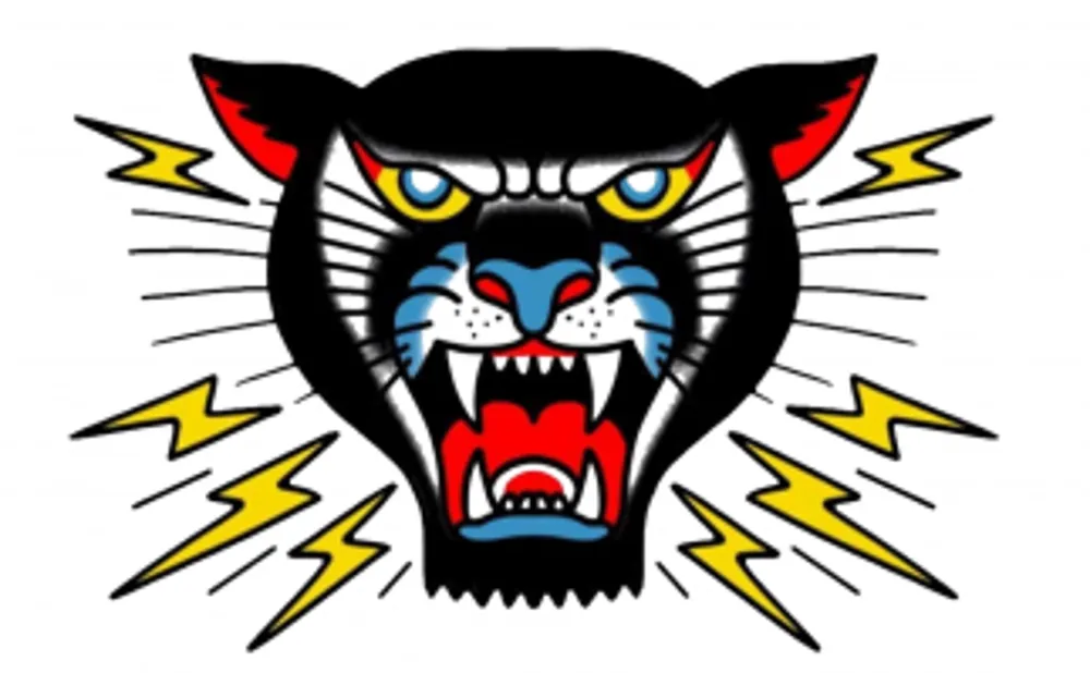 Slide of Panther City Electric