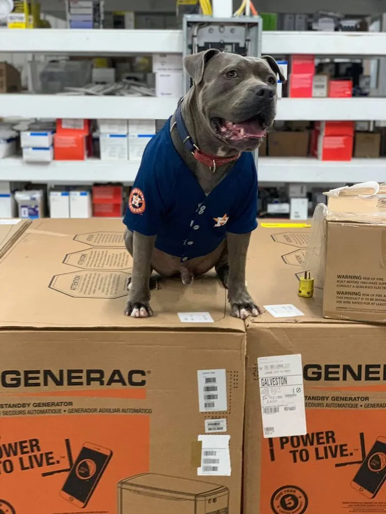 Slide of Panther Electric