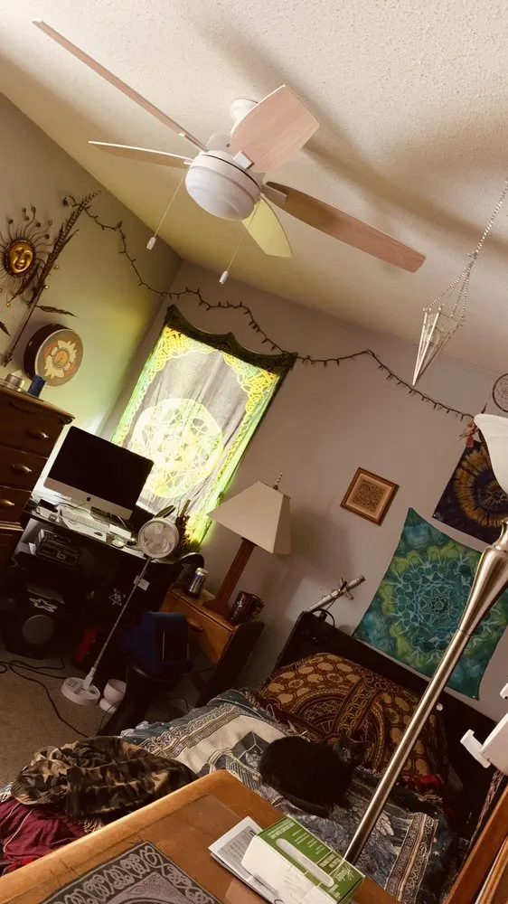 Slide of Papa Electric