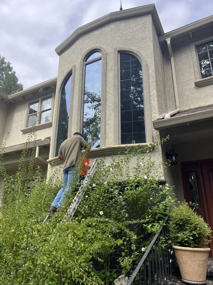 Slide of Papo Construction