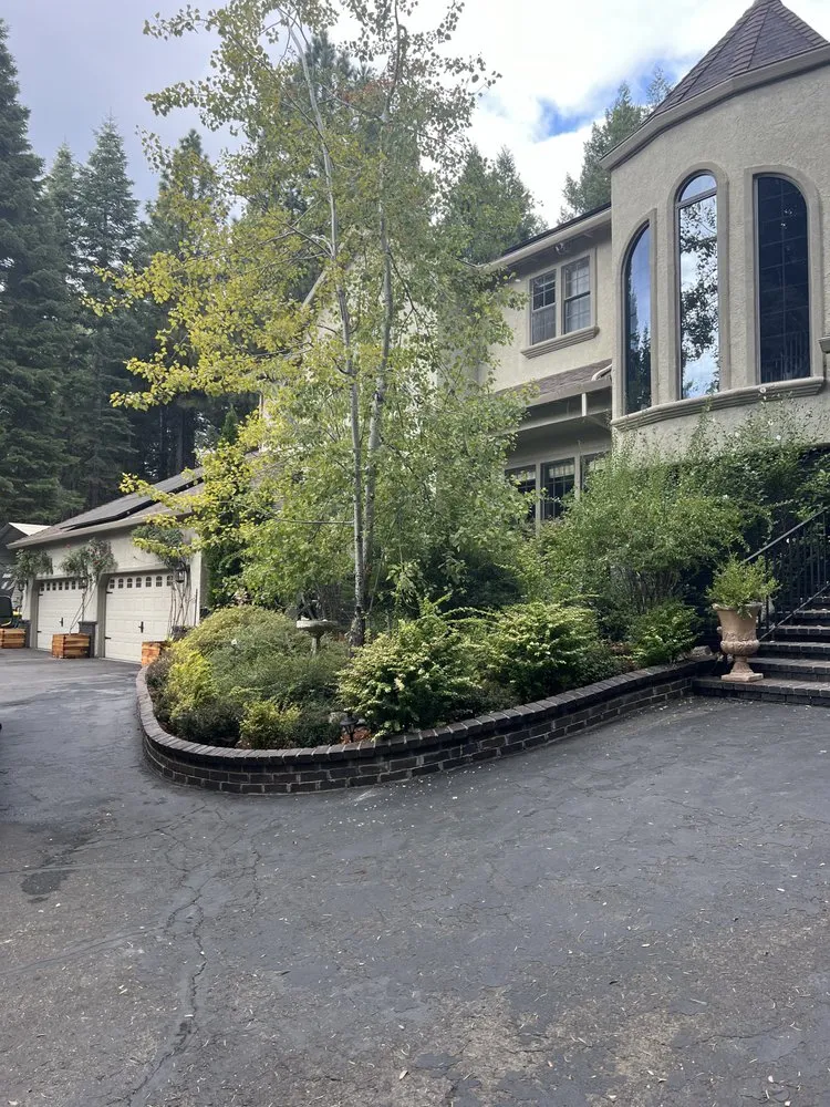 Slide of Papo Construction