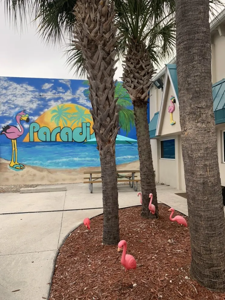 Expert electrical repair in ,  by Paradise Plumbing & Air Conditioning