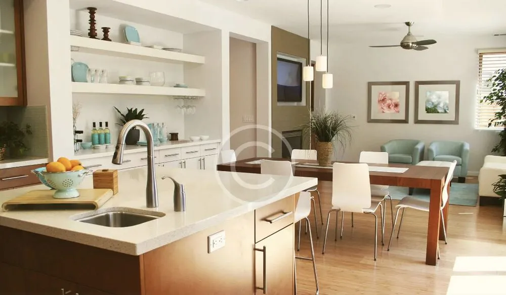 Slide of Paragon Renovate