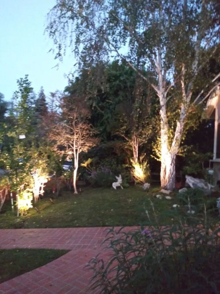 Slide of Paredes Electric