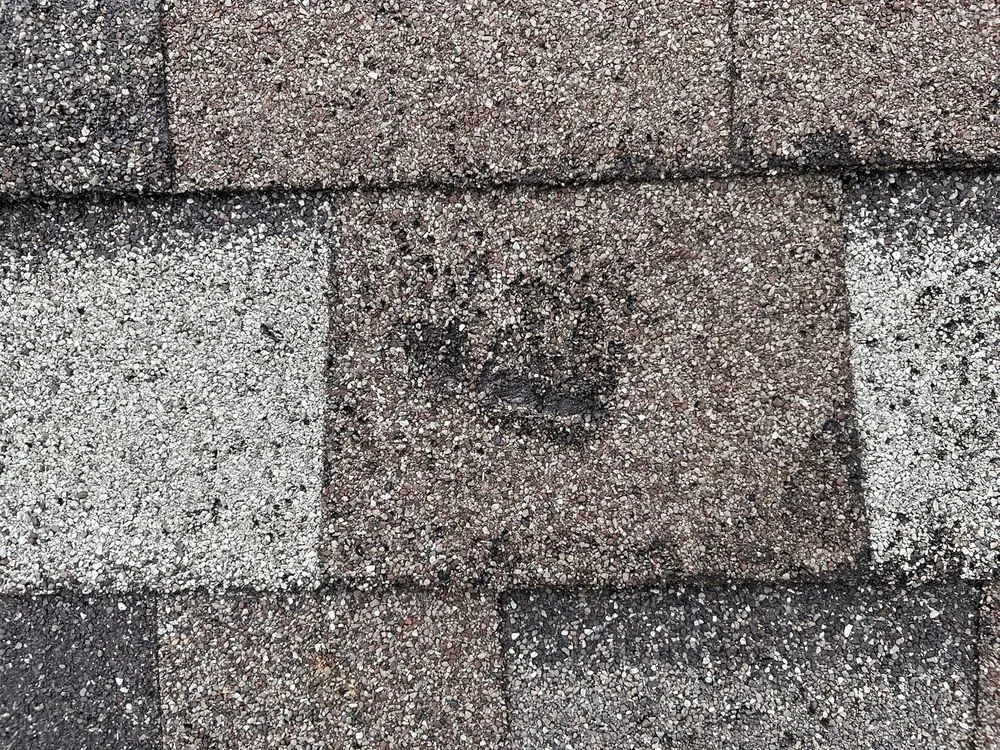 Slide of Parker & Sons