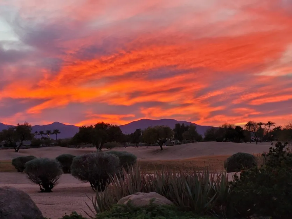 Slide of Parker & Sons