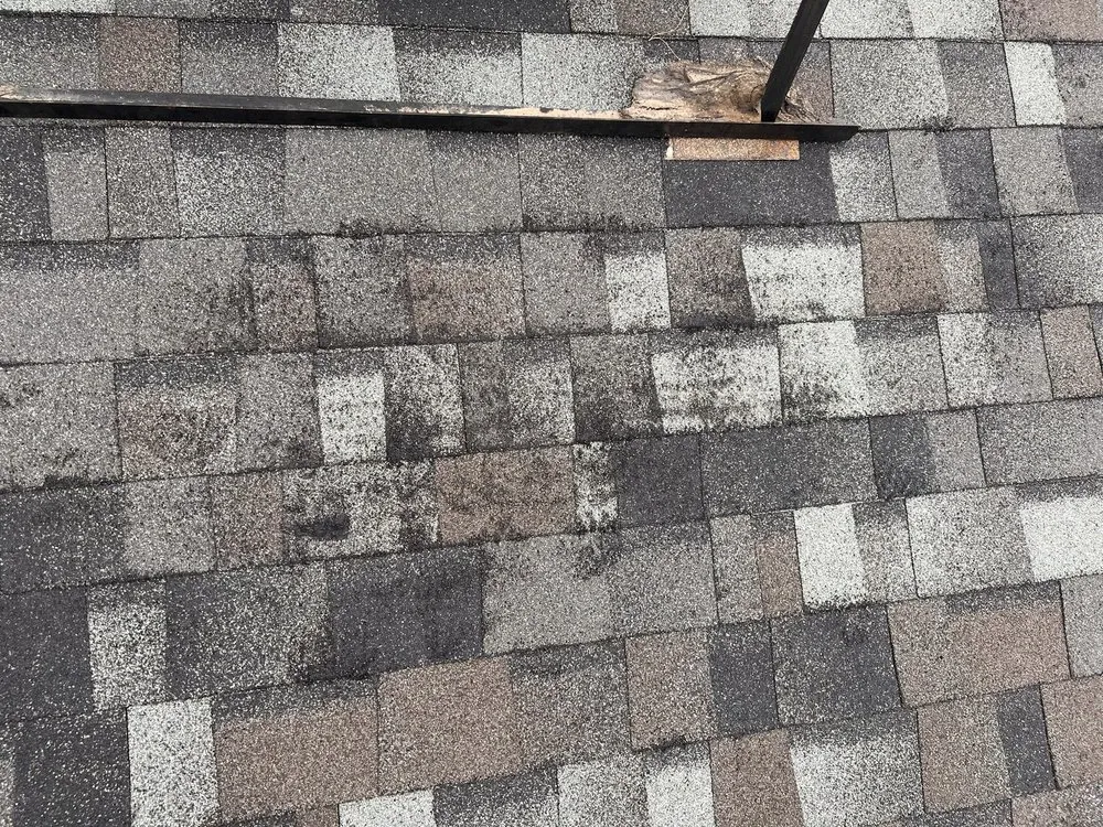 Slide of Parker & Sons