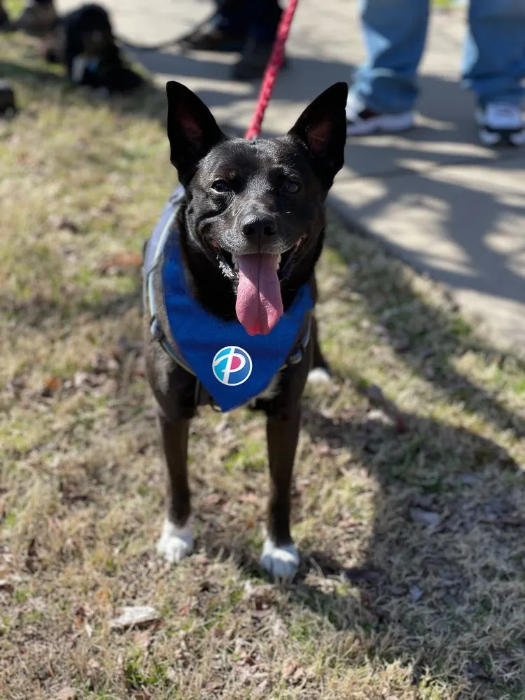 Slide of Paschal Air, Plumbing & Electric