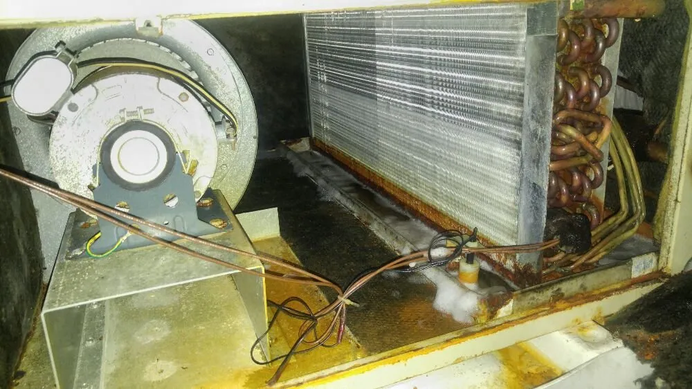 Slide of Pasieka Engineering